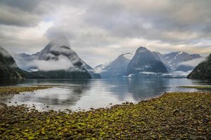landscapeafter