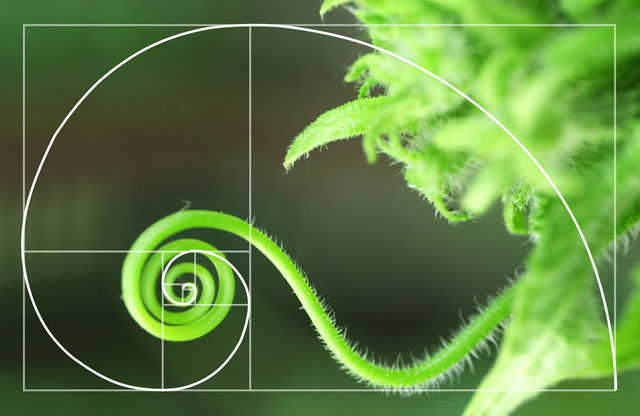 fibonacci composition