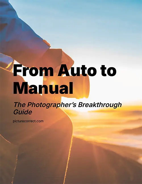 auto-to-maual